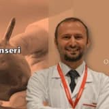 Prostat kanseri nedir?