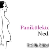 Panikülektomi nedir ? herkes için hafifleme