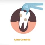 Çene Cerrahisi
