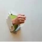 Boksör kırığı