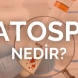 Kanda Sperm: Hematosperm Nedir ve Ne Zaman Endişe Vericidir?