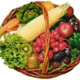 ADOLESANLARIN (ERGENLERİN) BESİN SEÇİMLERİ ve VEJETARYENİZME YÖNELİŞ