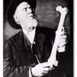 OSTEOPATİ NEDİR?