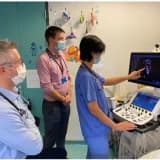 Paediatric and adult congenital cardiology education and training in Europe