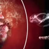 Sigara Kullanımı Kalbin Damar Hastalıkları İle Bağlantısı Var Mıdır?