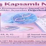Geniş Kapsamlı NIPT (Tüm Kromozomların Sayısal ve Yapısal Anormallikler Açısından Değerlendirilmesi)