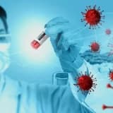 Koronavirüs Hastalığı Geçiren Kişilerde Kalıcı Hasar Gelişir mi?