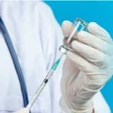 Kök Hücre Uygulamaları