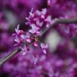 Mindfulness alıştırmalarına başlarken dikkat edilecek noktalar