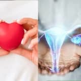 Kadın Hastalıkları