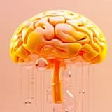 Beyincik Sarkması Nedir, Nasıl Tedavi Edilir?