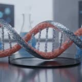 SOMON DNA