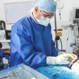 Estetik ve plastik cerrahi nedir