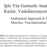 İple Yüz Germede Anatomik Yaklaşım; Kaslar, Vaskülarizasyon ve İnnervasyon