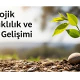 Psikolojik Dayanıklılık ve Çocuk Gelişimi