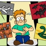 FOBİ NEDİR? TEDAVİSİ NASILDIR? FOBİ ÖRNEKLERİ NELERDİR?