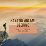 “Bu Hayattan Ne İstediğini Bilememek” Üzerine ...