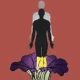 GENÇ HOMOSEKSÜEL SİDONİE ve ÖTEKİNİ ARZUSU