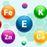 VİTAMİN MİNERAL EKSİKLİĞİ