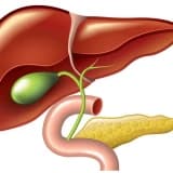 ERCP nedir? ERCP nasıl yapılır? ERCP kimlere yapılır? ERCP'nin komplikasyonları nelerdir?