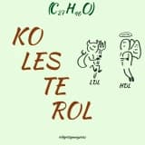 Kolesterol