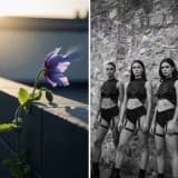 Manifest Tartışması Üzerine:Özgürlük, Estetik ve Sınır