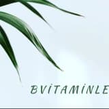 B vitaminleri