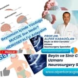 Beynimizin İçinde Yüzdüğü MUCİZE Sıvı Nedir? | HİDROSEFALİ’yi Anlayalım