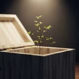 Çocuklarda şiddet sebepleri ve önleme