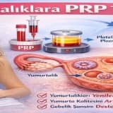 Yumurtalıklara PRP Uygulaması (Ovarian PRP)