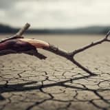 Duyguları Bastırmanın Bedende Yarattığı Etkiler