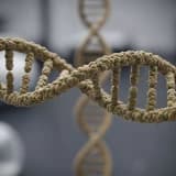 25 NİSAN DÜNYA DNA GÜNÜ