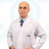 Prof. Dr. Feyzi Birol Sarıca Profil Fotoğrafı