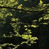 Uzm. Psk. Aysun Aktaş Özkafacı