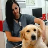 Veteriner Hekim Tuğba Çine Profil Fotoğrafı