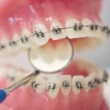 Dt. Selçuk Garipbaş