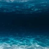 Uzm. Psk. Dan. Didem Ertaş