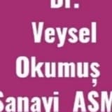 Dr. Veysel Okumuş Profil Fotoğrafı