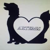 Vet. Vakkas Can Sert