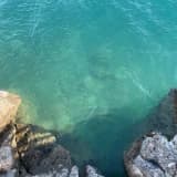 Dr. Dt. Duygu Kılıç Profil Fotoğrafı