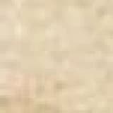 Dr. Mehmet Ulvi Akgün