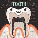 Dt. Kadir Süzer Profil Fotoğrafı