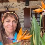 Uzm. Dr. Yeşim Koşay Profil Fotoğrafı