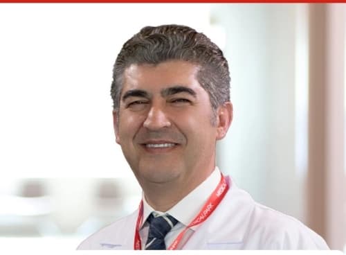 Prof. Dr. Ahmet Sezer