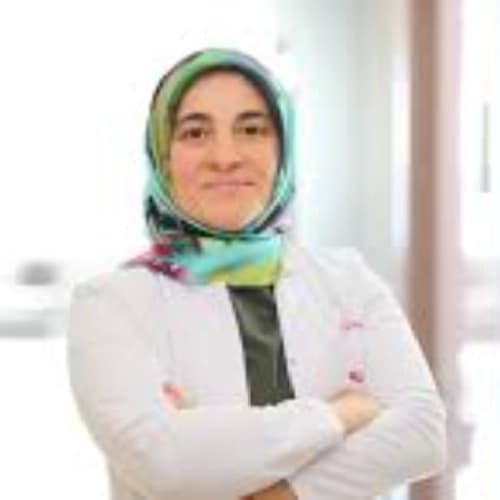 Dr. Öğr. Üyesi Fitnet Sönmezgöz Profil Fotoğrafı