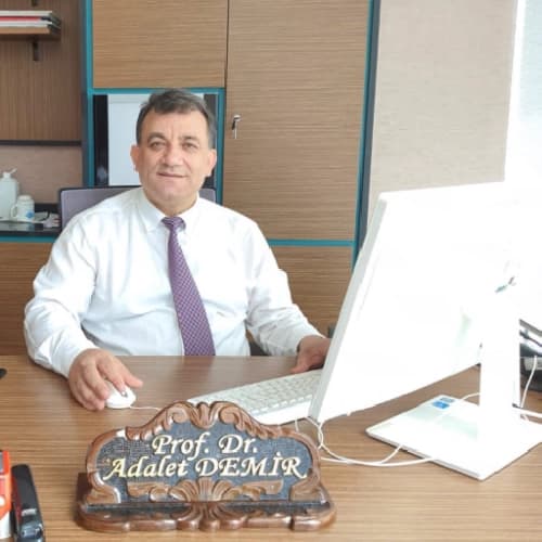 Prof. Dr. Adalet Demir Profil Fotoğrafı