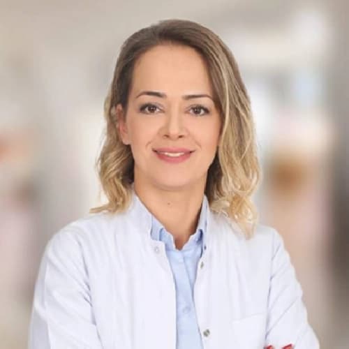 Dr. Öğr. Üyesi Nazlı Çakıcı Öksüz Profil Fotoğrafı