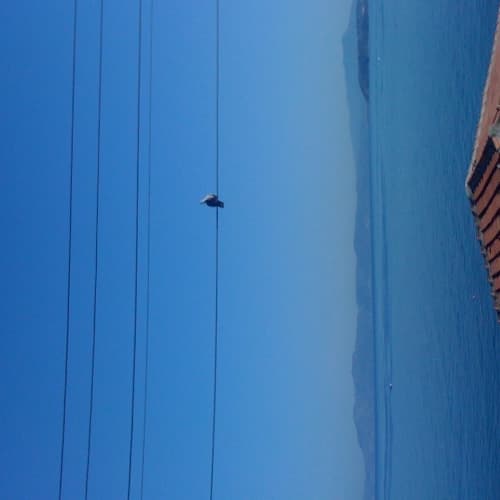 Klinik Psikolog Mine H