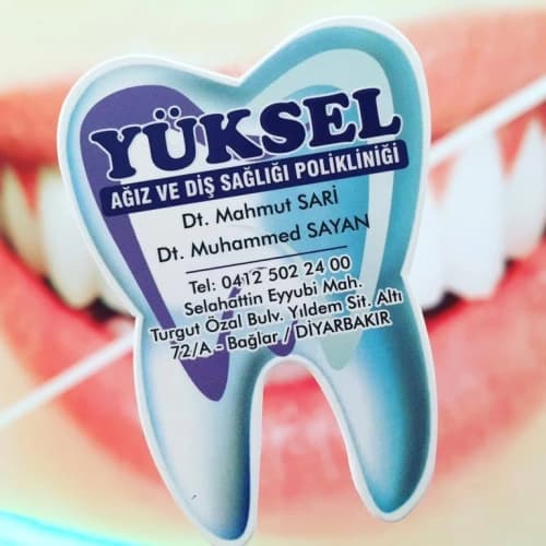 Dt. Mahmut Sarı Profil Fotoğrafı