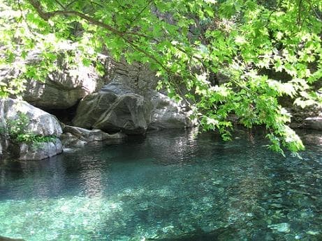 Uzm. Dr. Zehra Baltacı Profil Fotoğrafı